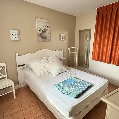 Climatise Avec Piscine Et Animaux Admis - Fr-1-768-104 Apartment *