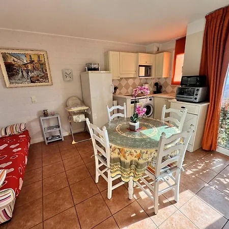 Climatise Avec Piscine Et Animaux Admis - Fr-1-768-104 Apartment Roquebrune-sur-Argens